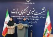 برگزاری نشست خبری سخنگوی دولت در بیمارستان/ علت چه بود+تصویر