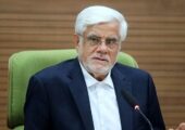 عکسی از عارف بر سر مزار شهید آل هاشم