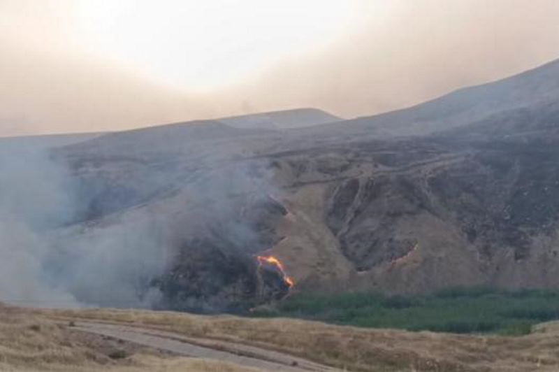 آتش در مراتع نوار مرزی غرب کرمانشاه مهار شد