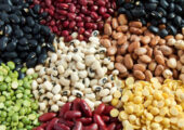 آقای وزیر کشاورزی جهاد! 500000 تومن لوبیا منطقی است؟
