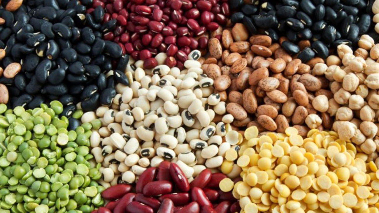 آقای وزیر کشاورزی جهاد! 500000 تومن لوبیا منطقی است؟