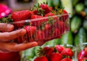 این میوه داروی درمان کبد چرب و دیابت است | بازتاب امروز