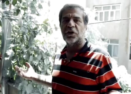 مهرداد احمدی شیخانی