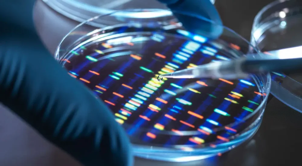 پروژه‌ بحث‌برانگیز DNA مصنوعی انسان در بریتانیا آغاز شد