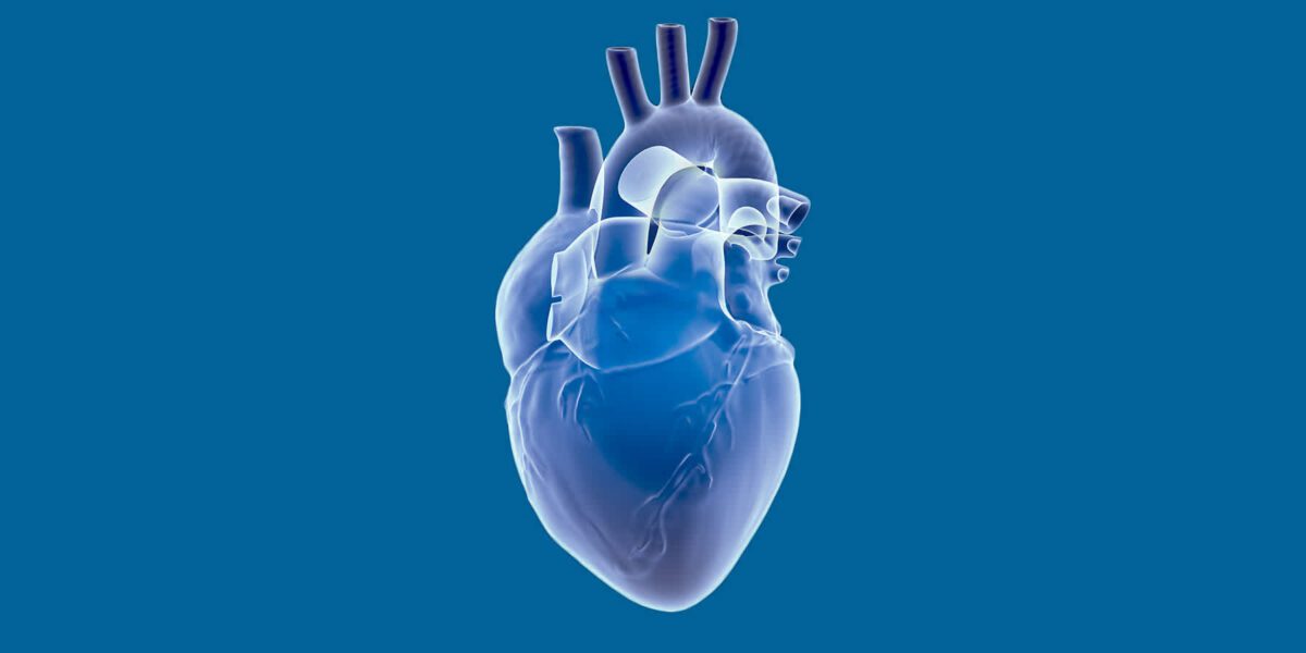آلودگی هوا در سطح ایمن هم به قلب آسیب می ‌زند
