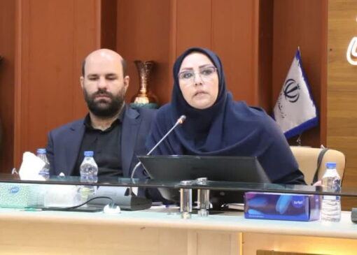 راه‌اندازی شبکه‌های تخصصی برای مشارکت اجتماعی جوانان