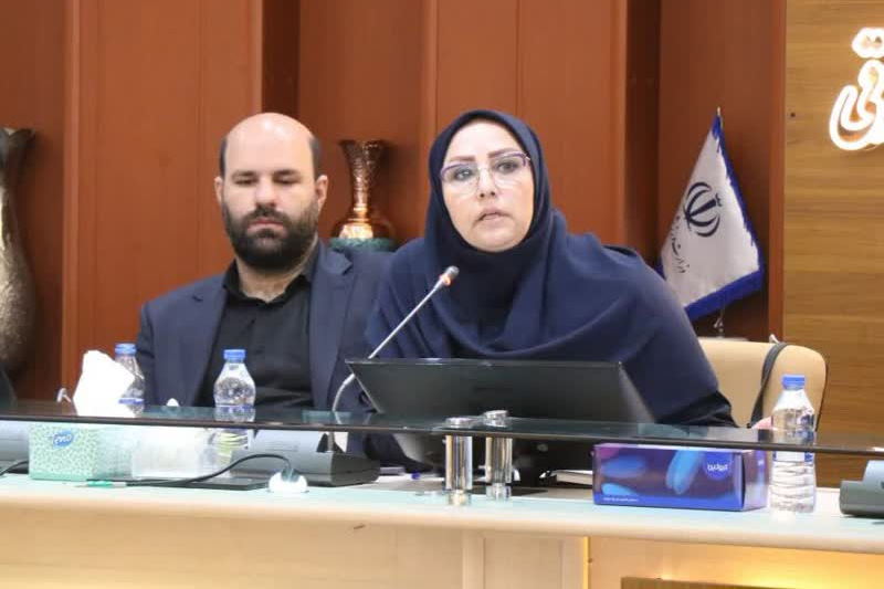 راه‌اندازی شبکه‌های تخصصی برای مشارکت اجتماعی جوانان