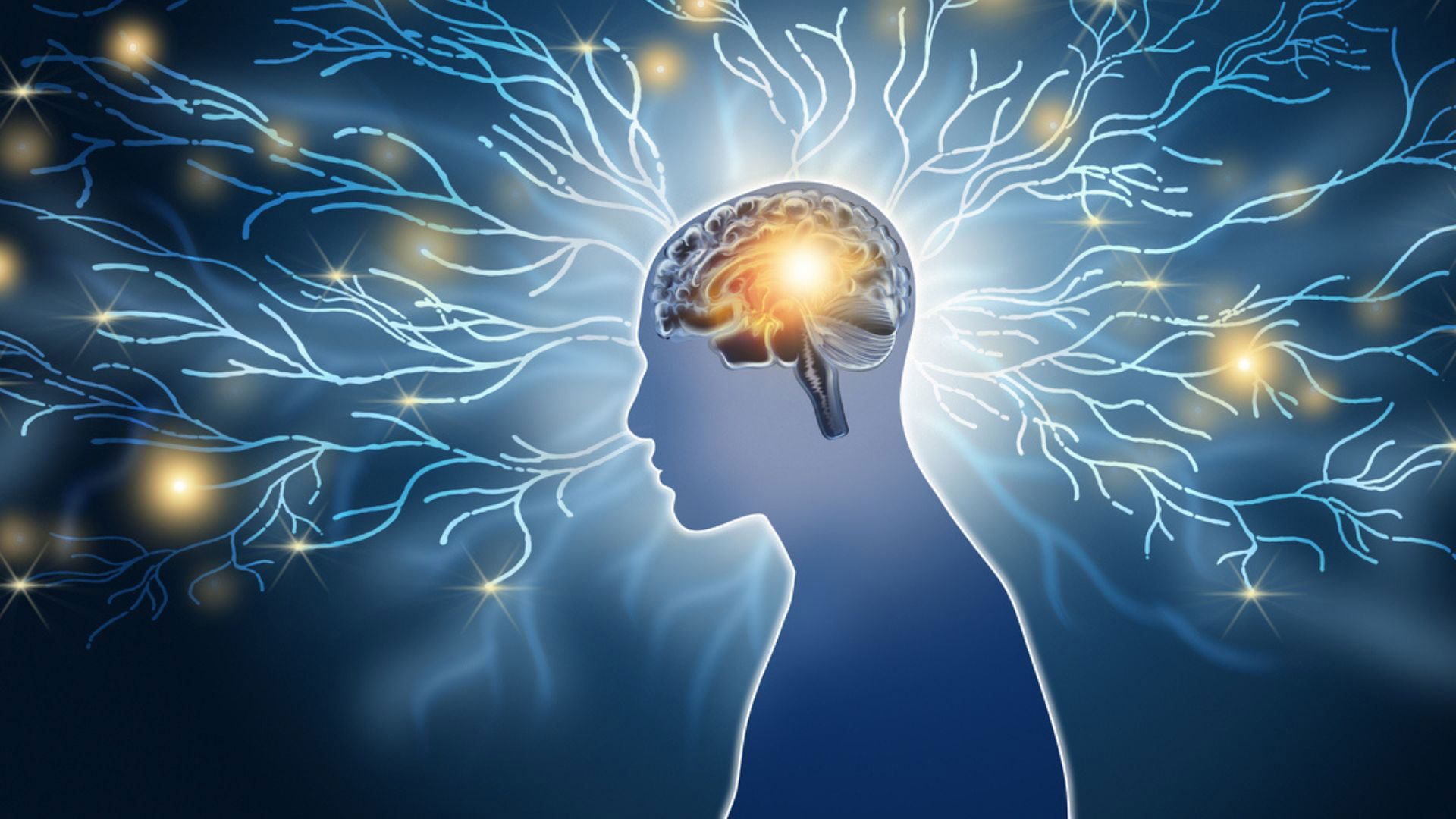 هوش مصنوعی تایوانی اسکیزوفرنی را با دقت ۹۱.۷ درصد تشخیص می ‌دهد