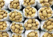 کاهش قیمت سیب‌زمینی و پیاز در بازار | بازتاب امروز