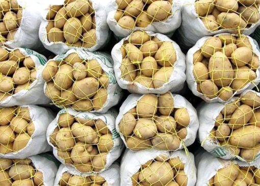 کاهش قیمت سیب‌زمینی و پیاز در بازار | بازتاب امروز