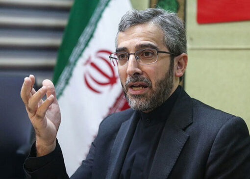 اولین حضور علی باقری در یک دیدار دیپلماتیک در جایگاه معاونت دبیرخانه شعام+تصویر