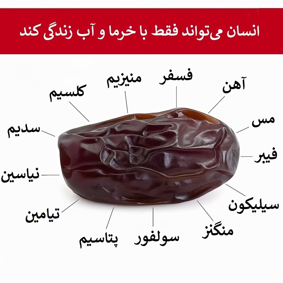 خرما و آب: ترکیبی ساده؛ انرژی بی پایان | بازتاب امروز
