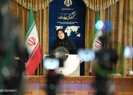 روایت فاطمه مهاجرانی از وضعیت مهاجران در ایران؛ شأن انسانی اتباع دیگر کشورها مورد احترام بوده و هست/مردم بدرقه‌ای باشکوه از این افراد داشتند