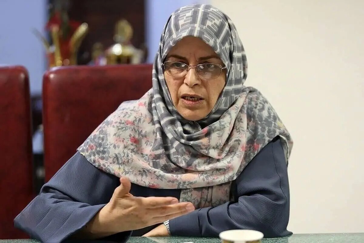 آذر منصوری: چندصدایی داخلی در حوزه سیاست خارجی ارسال پالس «آشفتگی سیاسی» به جامعه بین الملل است/  استراتژی «پلیس خوب و پلیس بد» موثر است اما...