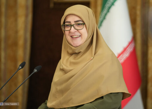 سخنگوی دولت، دو روز در هفته به تلویزیون می‌آید/ مهاجرانی: دولت تلاش دارد با فعالیت‌های دیپلماتیک خود، جنگ از کشور دور کند