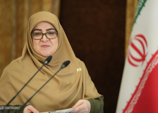 مهاجرانی: دست یاری دولت به سوی بخش خصوصی دراز است/ نگاه دولت چهاردهم به اقتصاد، نگاهی مشارکتی و مبتنی بر انسجام و عدالت است