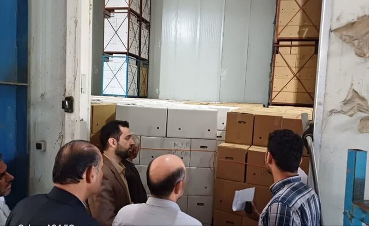 کشف ۸۰۰ تن تخم‌مرغ احتکارشده در استان گلستان | بازتاب امروز