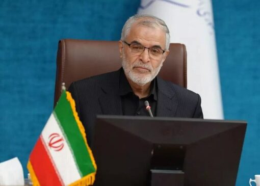 اظهارات معاون امنیتی وزارت کشور درباره تاثیر  خروج اتباع غیرقانونی بر کاهش جرایم