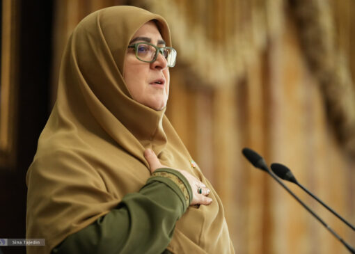 خانم سخنگو! میشه پسر و عروس تون برای من هم فیلترشکن نصب کنن؟/کاریکاتور