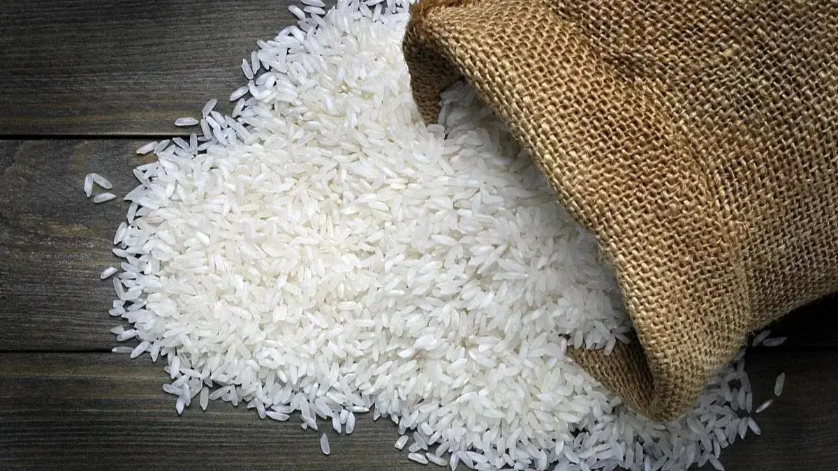 ماجرای ریختن برنج به دریا/ چند تن برنج در بنادر انباشته شده است؟