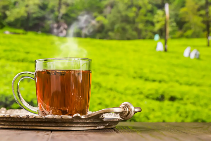 نوشیدن چای چه تاثیری روی جذب آهن می‌گذارد؟ | بازتاب امروز