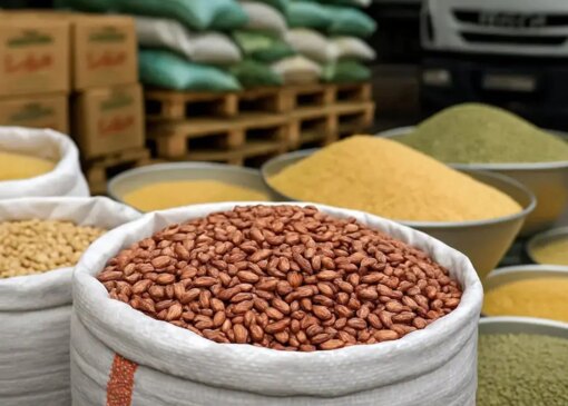 قیمت حبوبات در بازار 30 تا 35 درصد افزایش می یابد / لوبیا چیتی خارجی ارزان تر از نمونه ایرانی است