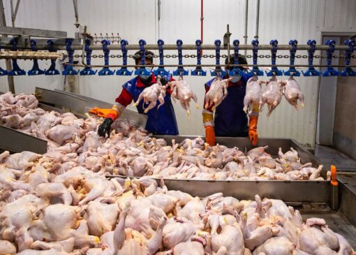 قیمت های جدید مرغ، تخم مرغ و گوشت قرمز در بازارهای امروز