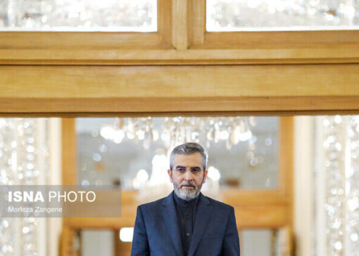 تصویری از دیدار علی باقری با با مشاور امنیت ملی سوئیس در مسکو