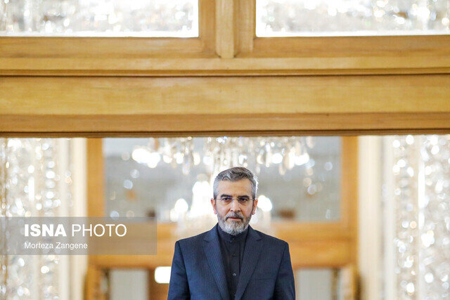 تصویری از دیدار علی باقری با با مشاور امنیت ملی سوئیس در مسکو