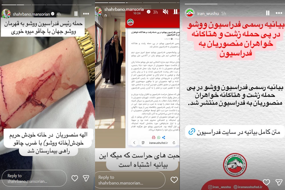 حواشی درگیری خواهران منصوریان با مسئولان فدراسیون ووشو | بازتاب امروز
