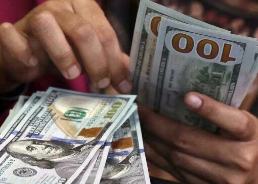 دلار کاهش یافت اما قیمت ها حرکت نکرد. مردم: چرا آسانسور گران قیمت آسانسور دارد اما ارزان نیست؟