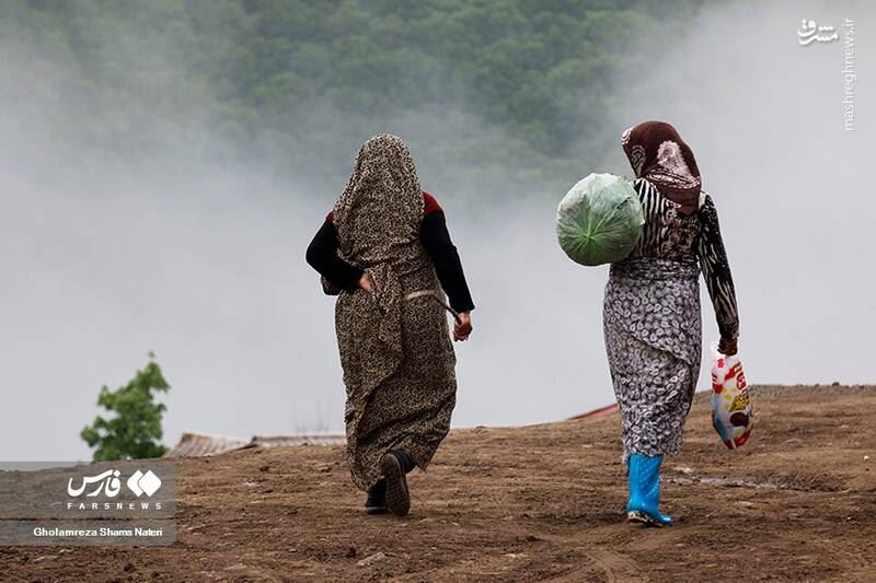 بیمه زنان روستایی، مطالبه مهم زنان استان زنجان | بازتاب امروز