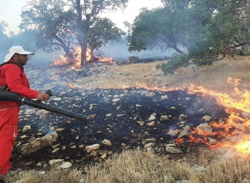 جنگل‌های کوهمره سرخی شیراز آتش گرفتند | بازتاب امروز