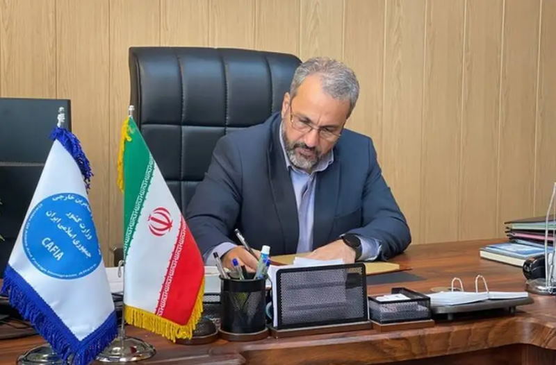 یاراحمدی: «سیاست ساماندهی اتباع خارجی با جدیت دنبال خواهد شد» | بازتاب امروز