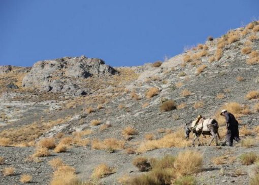 ساکنان کوه جفتان شهداد کرمان راه دسترسی ندارند | بازتاب امروز