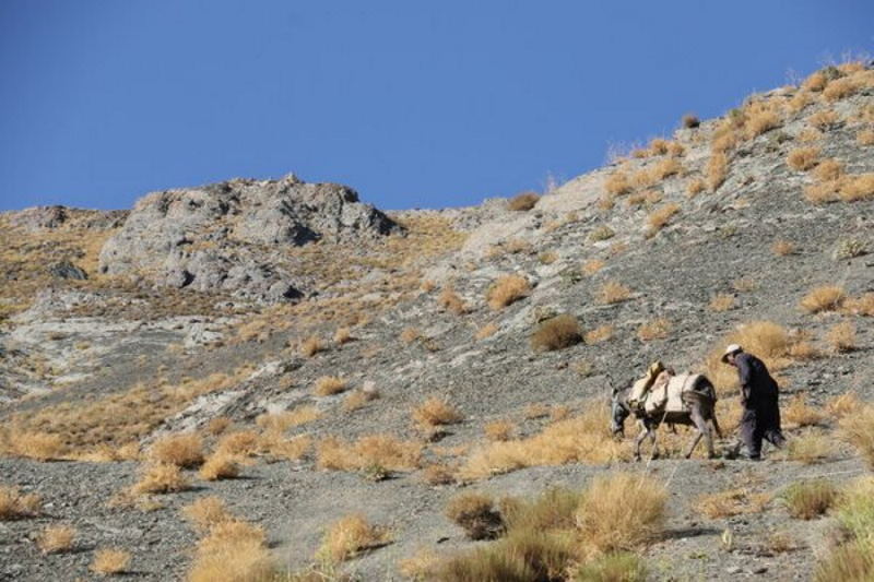 ساکنان کوه جفتان شهداد کرمان راه دسترسی ندارند | بازتاب امروز