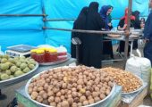 از برگزاری جشنواره‌های غذایی تا ادعای برندسازی گردشگری در زنجان | بازتاب امروز