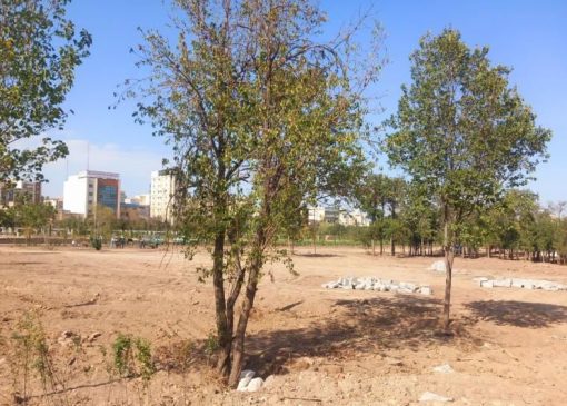 باغ شریعت اردبیل؛ حفظ هویت سبز یا غلبه‌ی نگاه تجاری؟ | بازتاب امروز