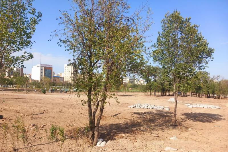 باغ شریعت اردبیل؛ حفظ هویت سبز یا غلبه‌ی نگاه تجاری؟ | بازتاب امروز