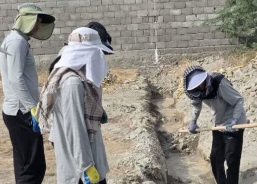 خدمت‌رسانی بیش از ۲۰۰۰ دانشجوی فارس در مناطق کم‌برخوردار | بازتاب امروز