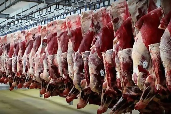 درخواست اولیه برای صدور مجوز فروش گوشت الاغ و اسب | بازتاب امروز