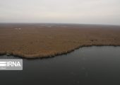 زنگ خطر سیلاب پاییزی برای دامداران خوزستان | بازتاب امروز