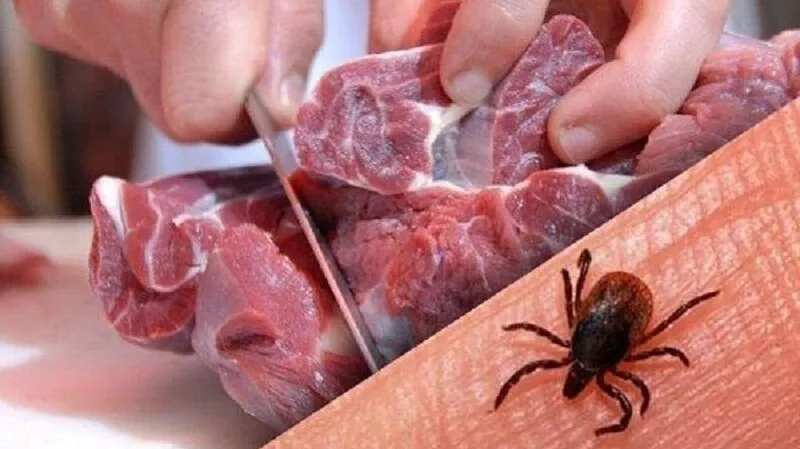 شناسایی ۱۱ مورد ابتلا به تب کریمه در یک استان | بازتاب امروز