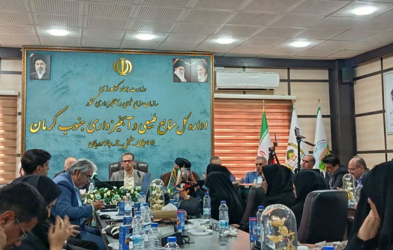 کاهش ۱۴متری آب‌های زیرزمینی در جنوب کرمان | بازتاب امروز