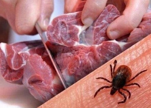 کرمان در جمع ۳ استان با بیشترین مبتلایان کریمه کنگو | بازتاب امروز