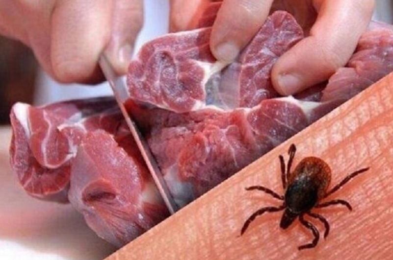کرمان در جمع ۳ استان با بیشترین مبتلایان کریمه کنگو | بازتاب امروز