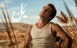 قسمت 2 سریال یل منتشر شد؛ سه سریال ایرانی که این پاییز نباید از دستشان داد