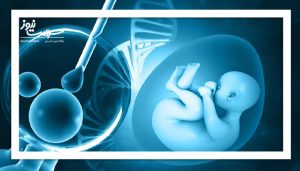 آنچه زنان باید درباره فریز تخمک بدانند | بازتاب امروز