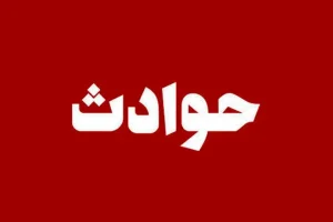 با بطری مشروب به سر مادرم کوبیدم و او را کشتم | بازتاب امروز