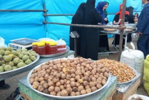 جشنواره گردو در خدابنده زنجان برگزار می‌شود | بازتاب امروز